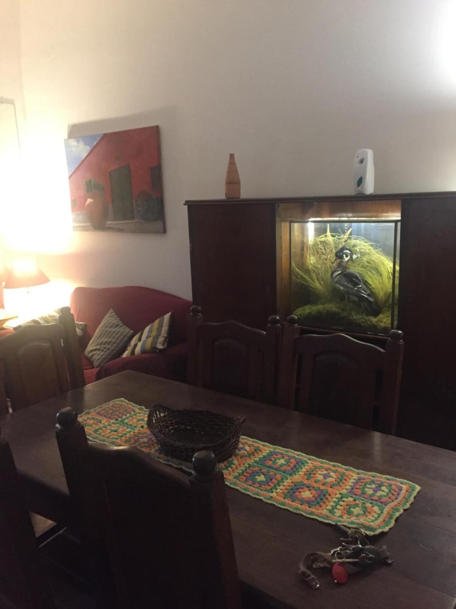 Congreso Nacional Apartamento Buenos Aires