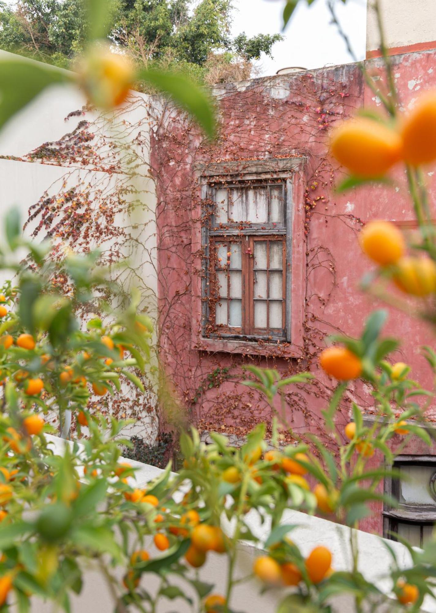 Hotel Casa Chic Palermo Soho