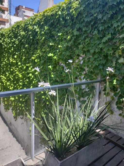 Apartment Increible Duplex En Canitas!