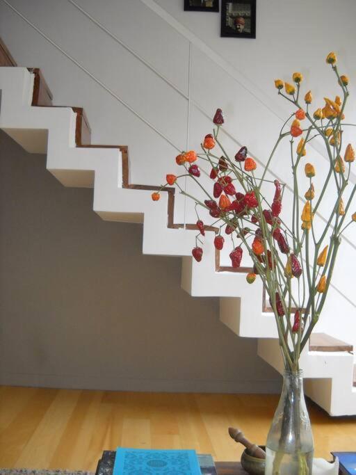 Increible Duplex En Canitas!