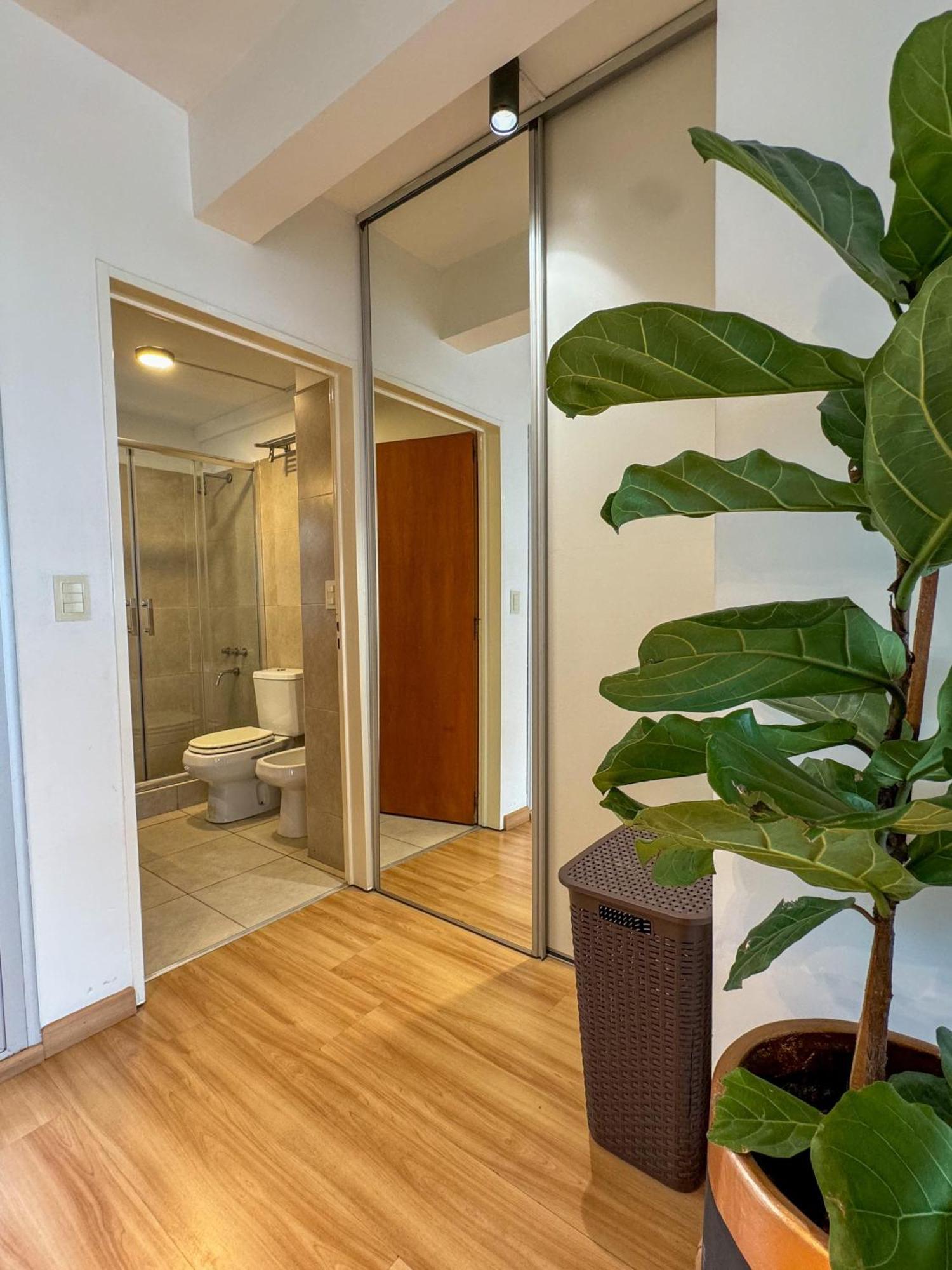 Foster Studio Pacifico