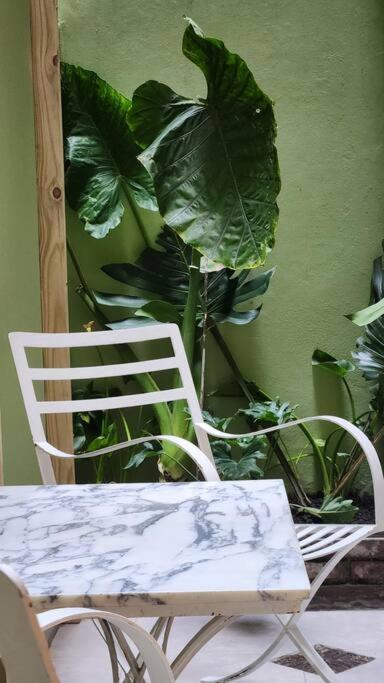 Apartamento Amplio Y Calido Departamento En Palermo Con Patio Ciudad Autónoma de Buenos Aires