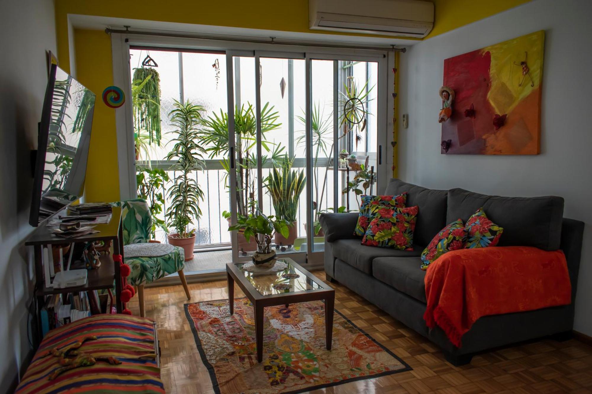 Apartment Beautiful And Colorful In Palermo