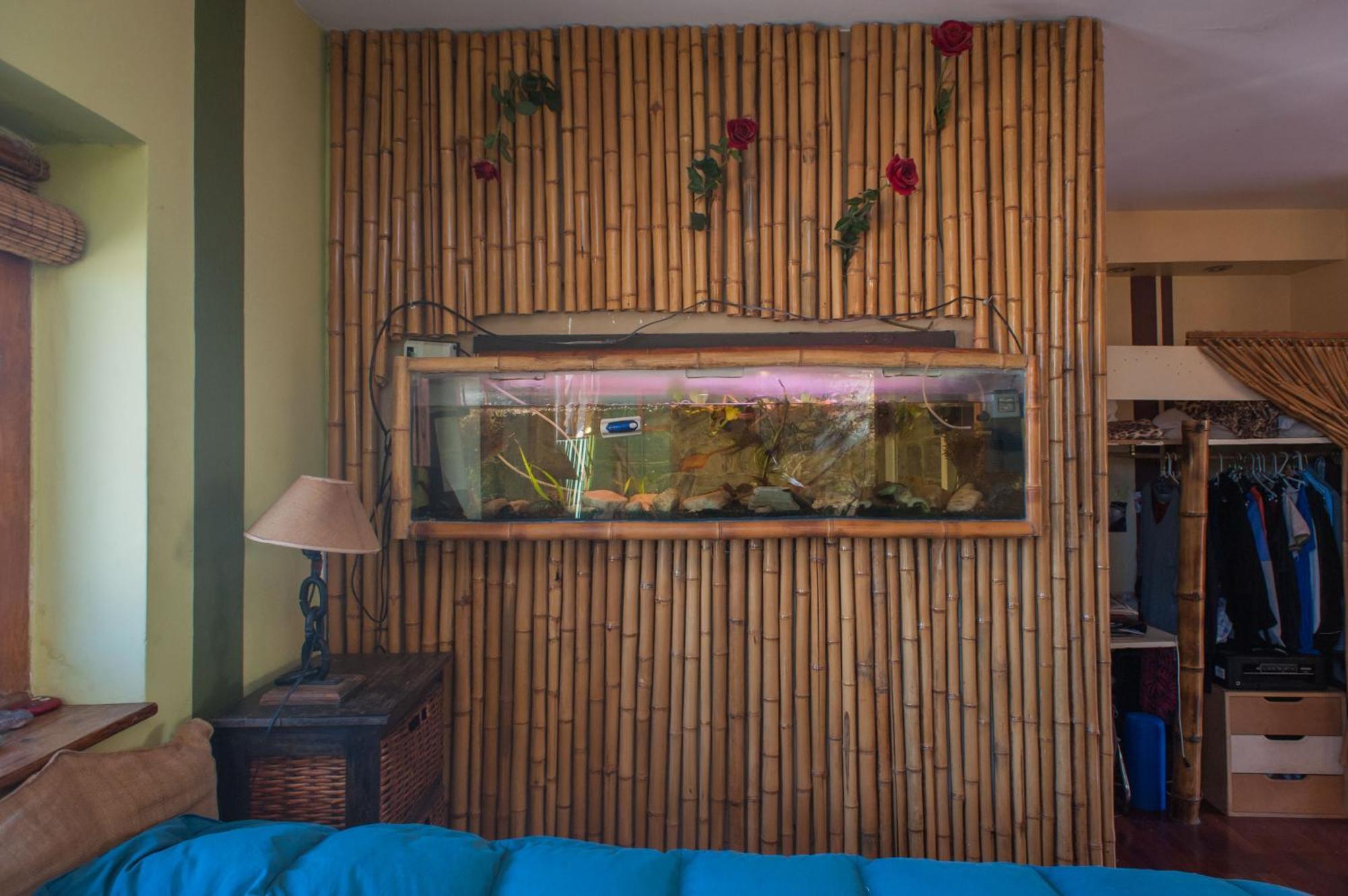 Hotel Apassionata Tango Hotel Buenos Aires