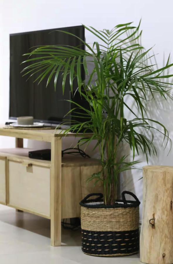 Apartamento B - Creado Un Boutique En Palermo Chico