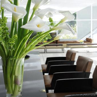 Hollywood & Lofts Apartamento *