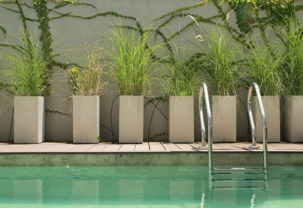 Dazzler By Wyndham Polo Hotel Buenos Aires