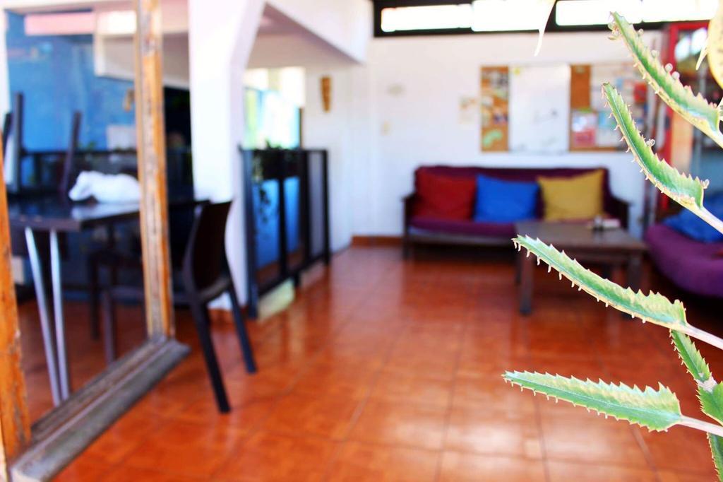 Garden House Hostel *