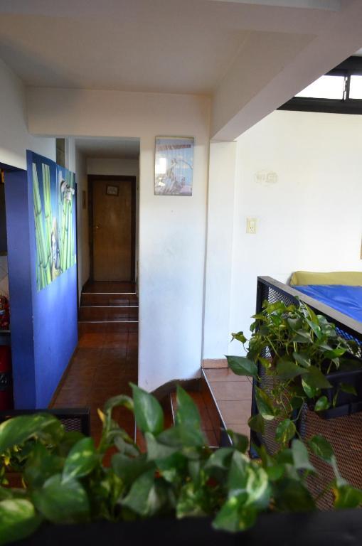 Garden House Hostel