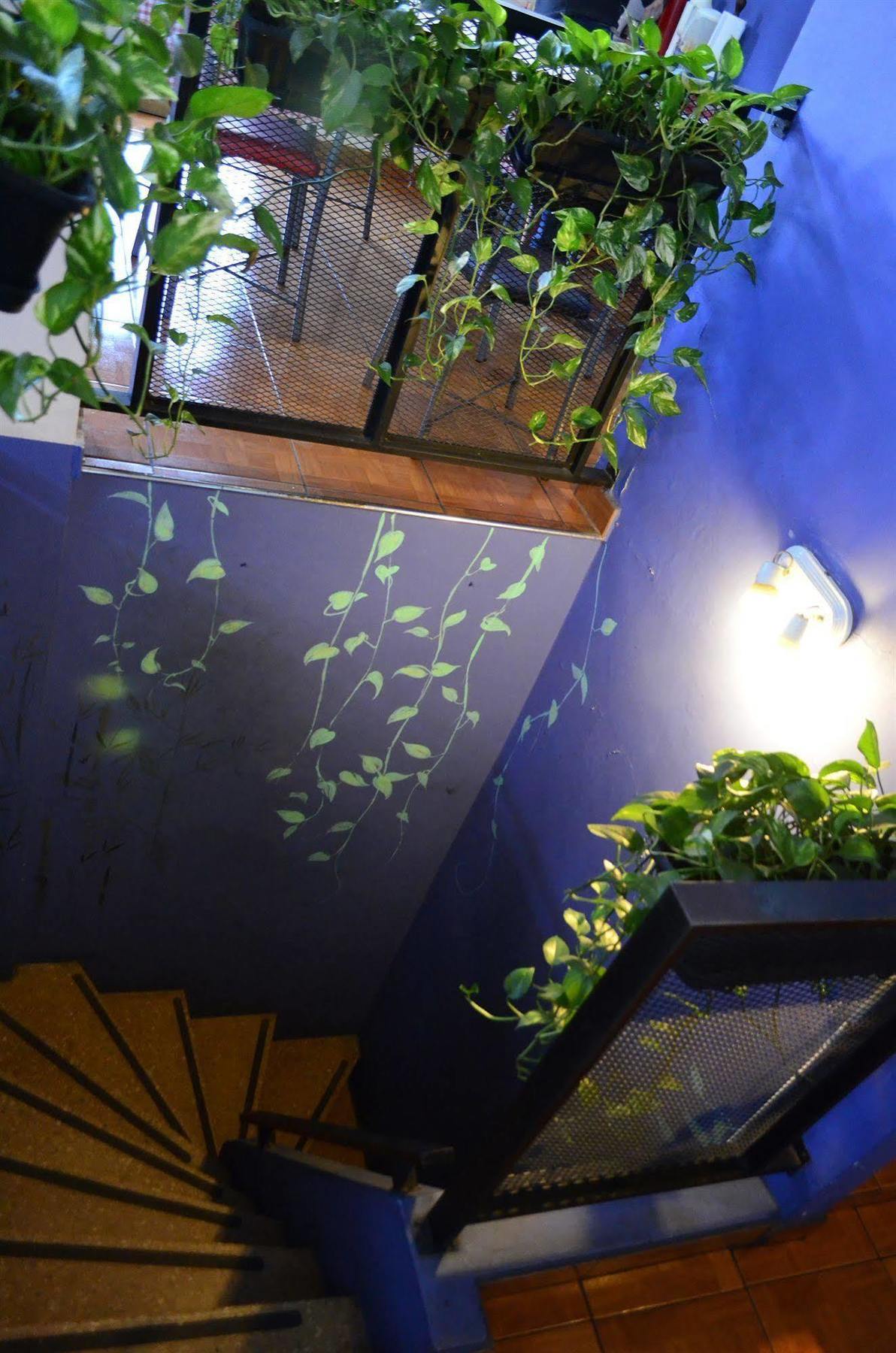 Garden House * Buenos Aires