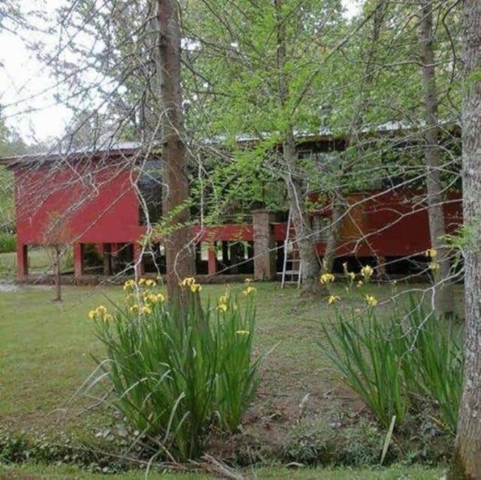 Flamante Casa En Delta De Tigre Holiday home