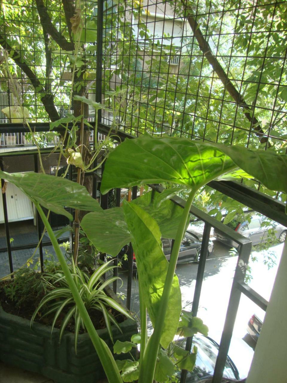 Apartment Apartamento En Belgrano C - 2