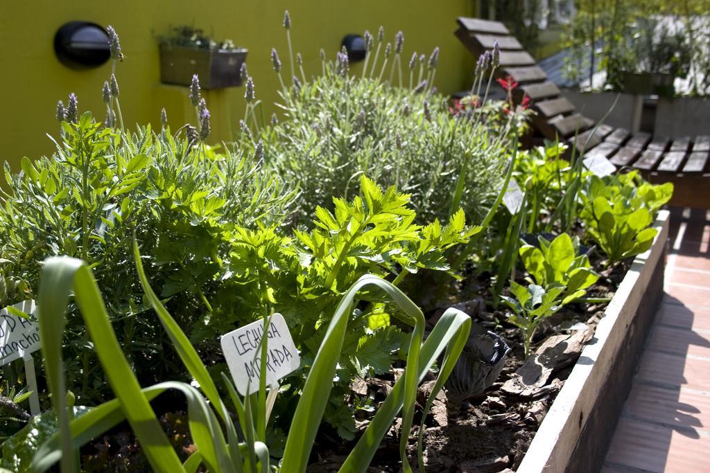 Eco Pampa Palermo Hostel