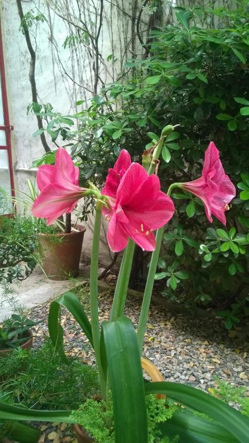 Palermo Viejo Bed & Breakfast 3*