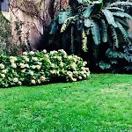 Recoleta - Tranquilo Y Exclusivo Pero Cerca De Todo!