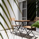 Alocasia Beautiful Apartment