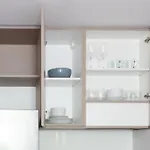 Alerce Deluxe Apartment
