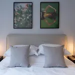 Lotus Soft Studio