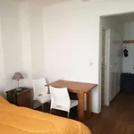 Pleno Centro