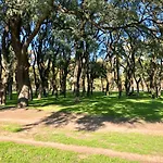 Bosques De Palermo Apartment