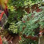 La Casa De Los Pajaros