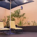 La Casa De Los Pajaros