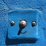 Only Women - Palermo Blue Home