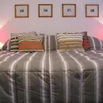 Unique Loft With Wi-Fi & Netflix