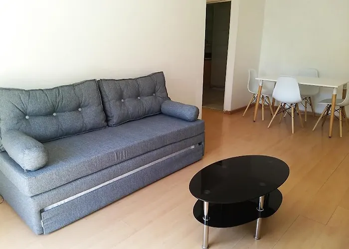 Departamento De Dos Dormitorios En Recoleta Para 6 Personas Piso 3