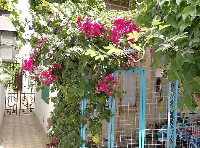 Villa Azul