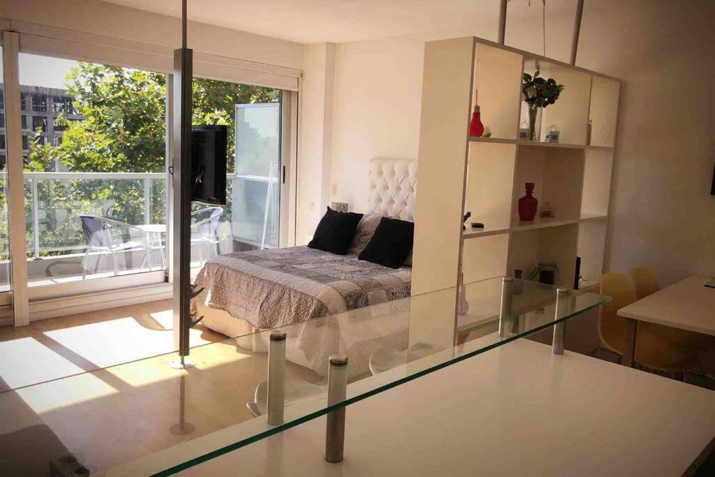 Palermo Soho Big Apartment Buenos Aires