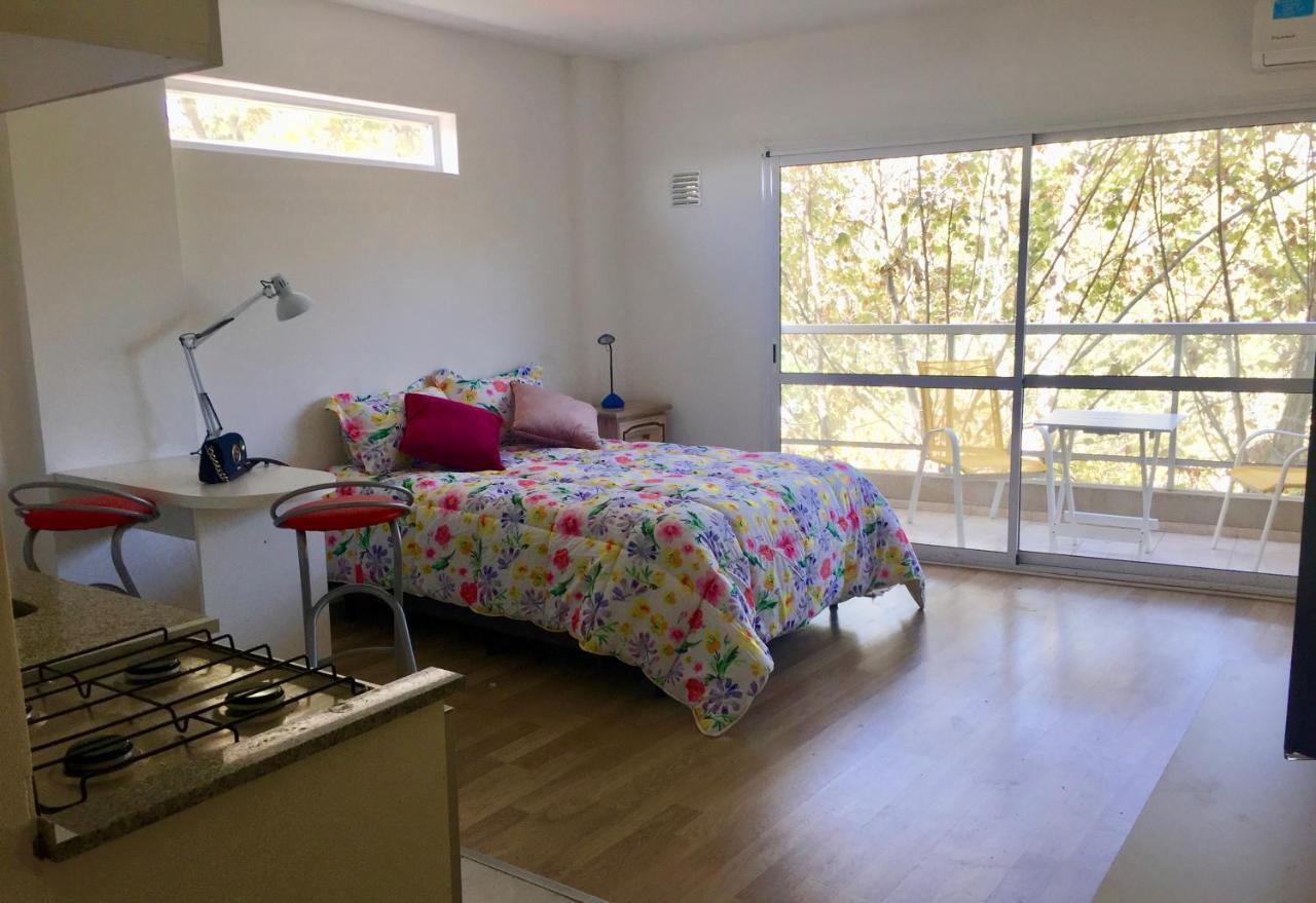 Un Espacio Moderno En Caballito Apartment Buenos Aires
