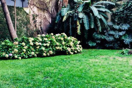 Recoleta - Tranquilo Y Exclusivo Pero Cerca De Todo! Apartment Buenos Aires