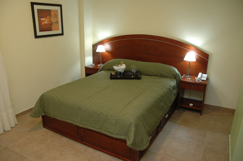 Olmo Dorado - Wellness & Business 3* Buenos Aires