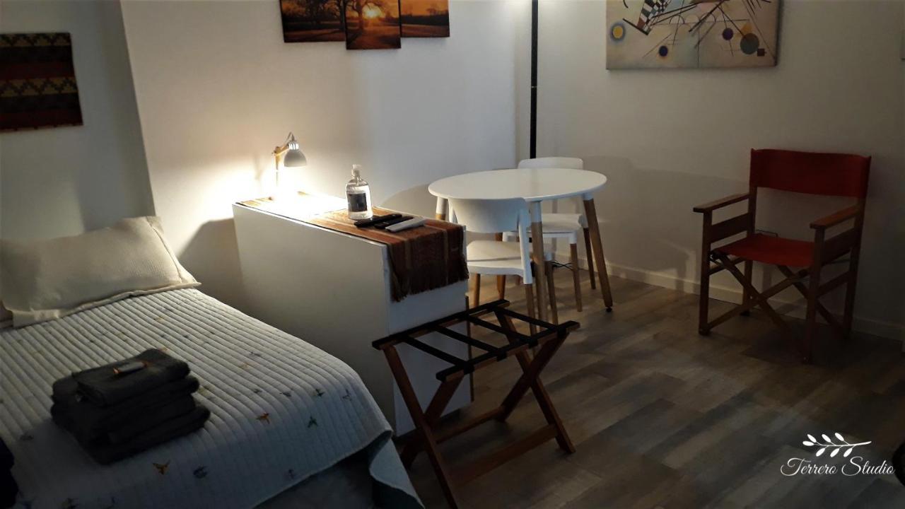 Terrero Studio Apartment *