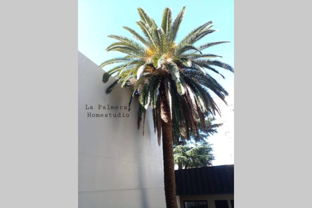 Apartment La Palmera Homestudio. Hermoso En El Corazon De Palermo Hollywood Buenos Aires
