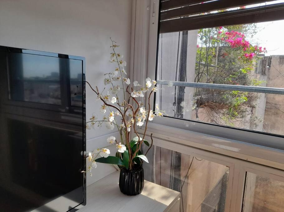 Apartment Lovely 1 Bdr In Centro Porteno Bs As 4 Pax 12f Buenos Aires