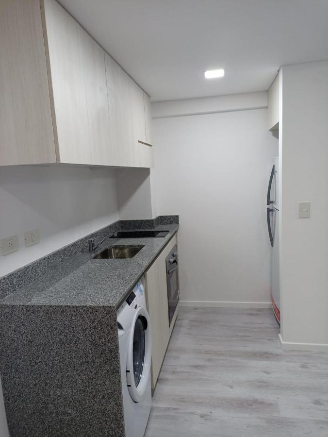 Apart Hermoso Cerca Del Pulmon Verde Porteno - Alkyl House *