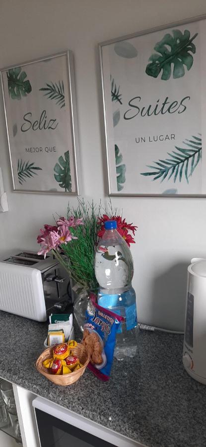 Seliz Luminoso, Con Cochera Auto Mediano O Pequeno Apartment Buenos Aires