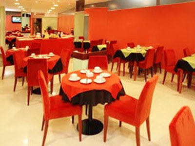 Olmo Dorado - Wellness & Business