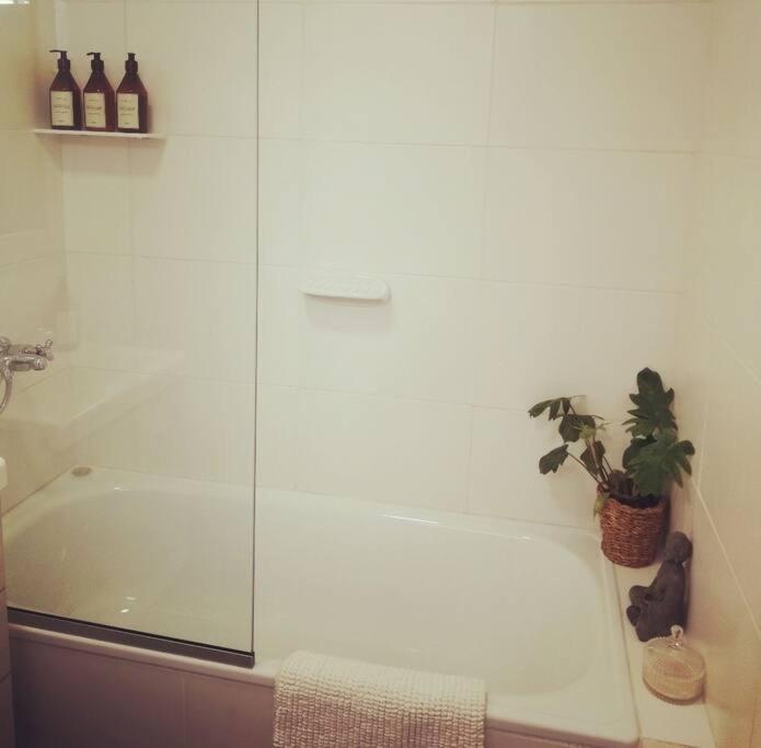 Apartamento Paraguay