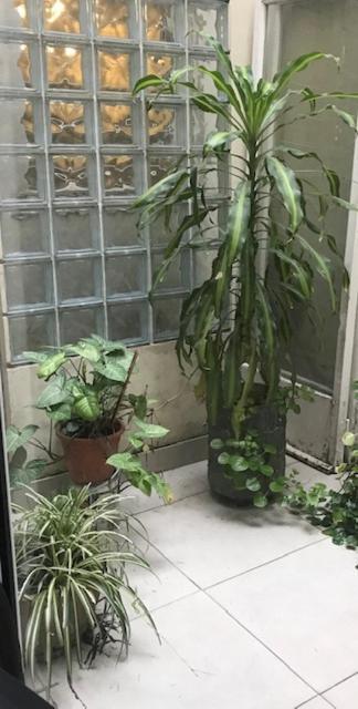 Ayres De Palermo , Botanico! Apartment *