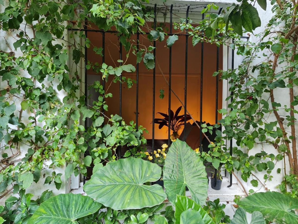 Guest house Mi Casa De *