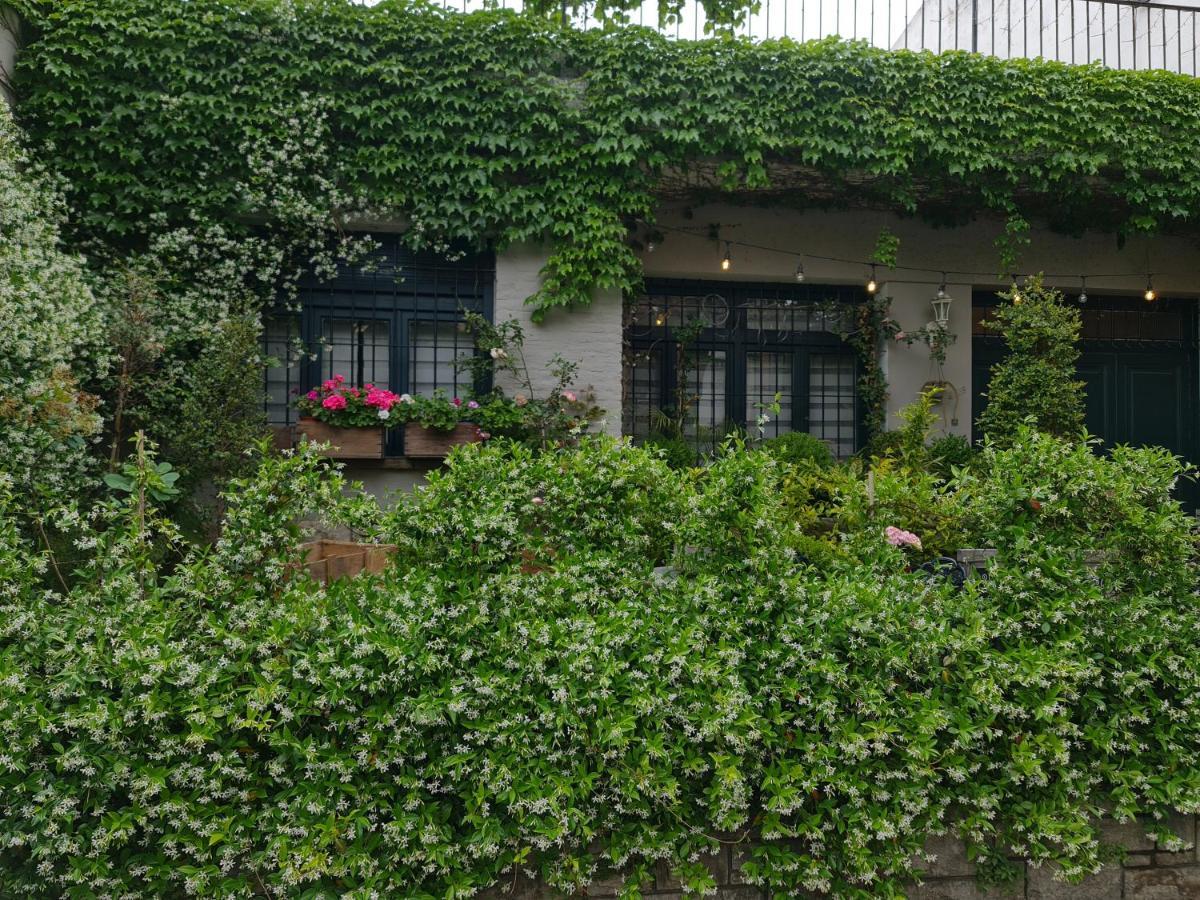 Mi Casa De Guest house *