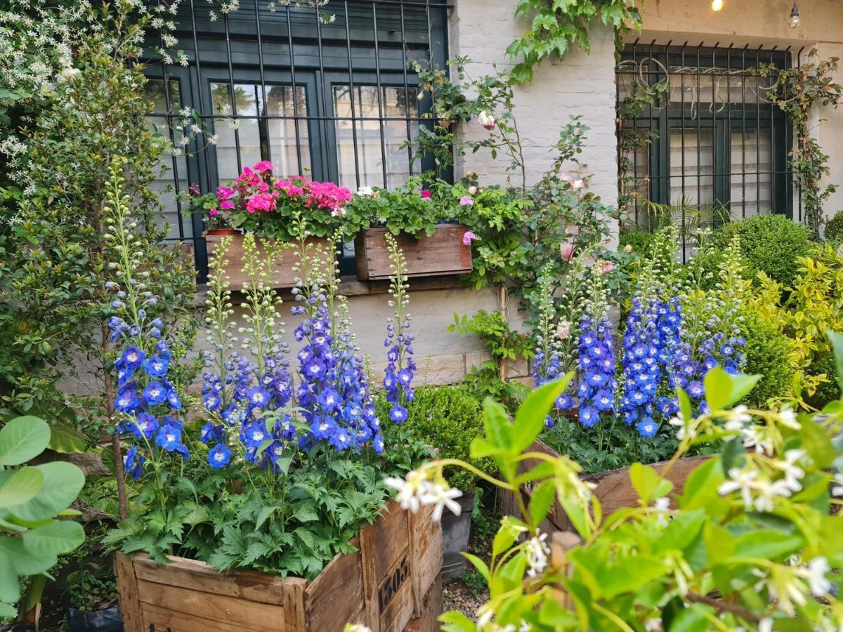 Mi Casa De Guest house