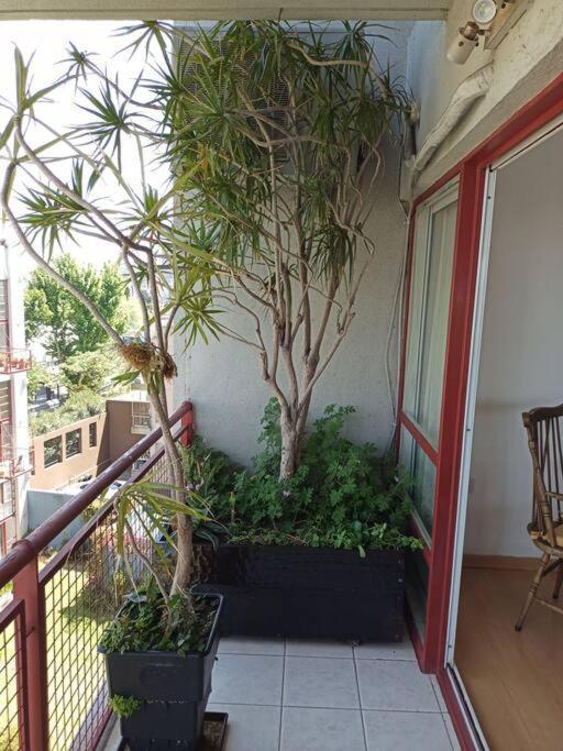 Beautiful With Pool Near Stadium River Plate Apartment *