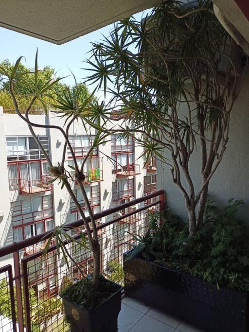 Apartment Beautiful With Pool Near Stadium River Plate