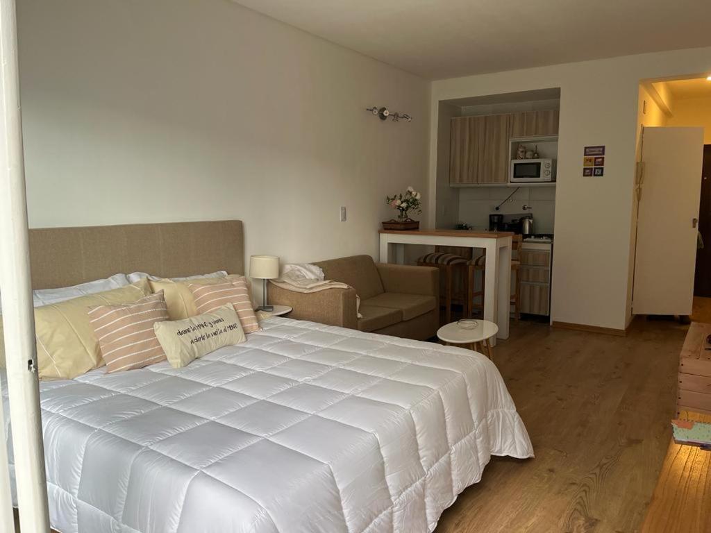 Refugio Comodo Y Luminoso. Excelente Ubicacion. Apartamento Buenos Aires