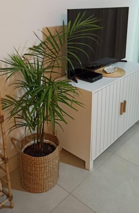 A- Creado Un Boutique En Palermo Chico