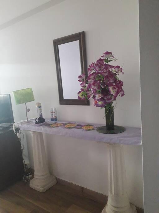 Cariclau Stanza Torres Galeria Jardin Microcentro Apartment Buenos Aires